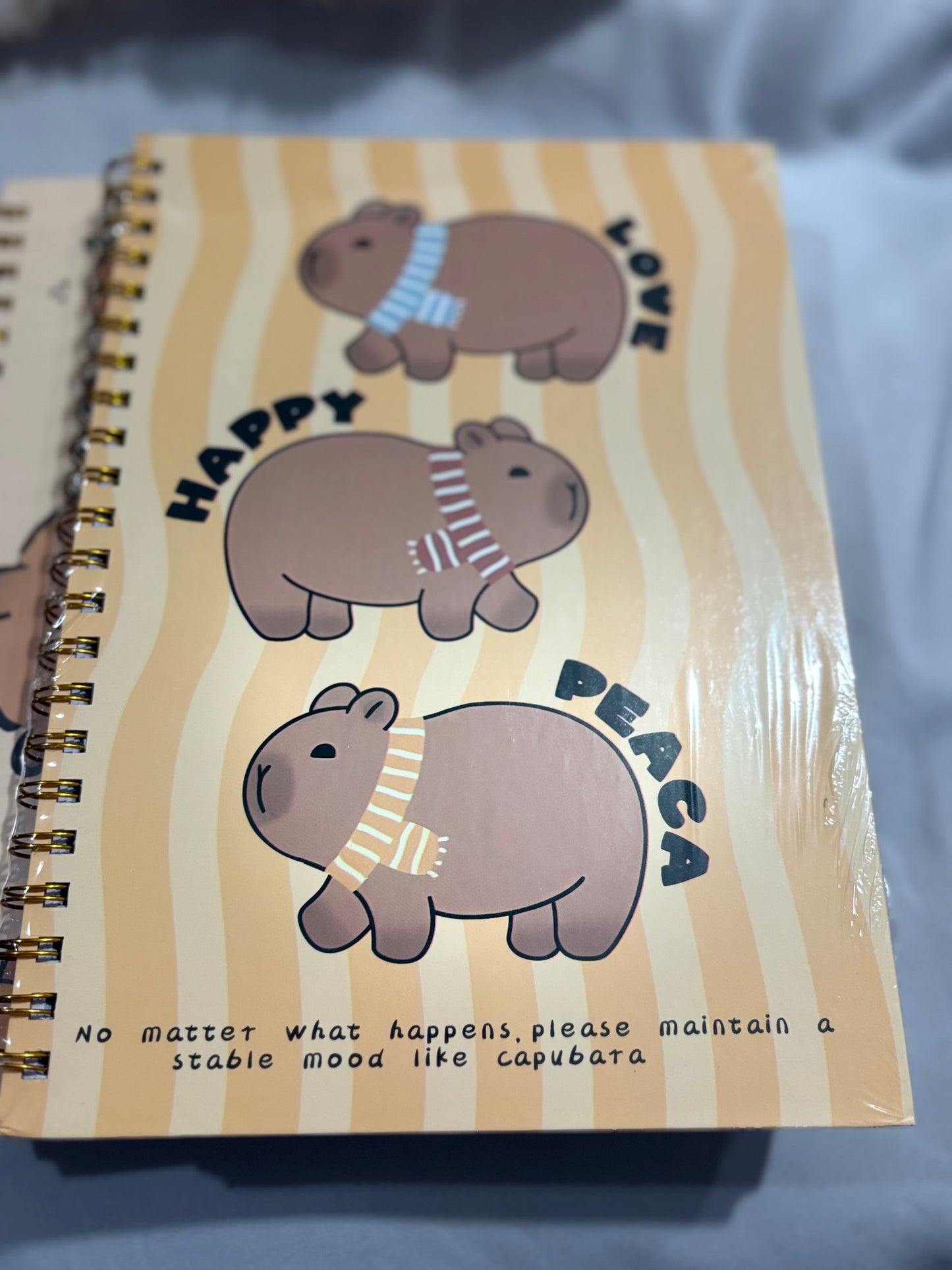 Cuaderno Capibara