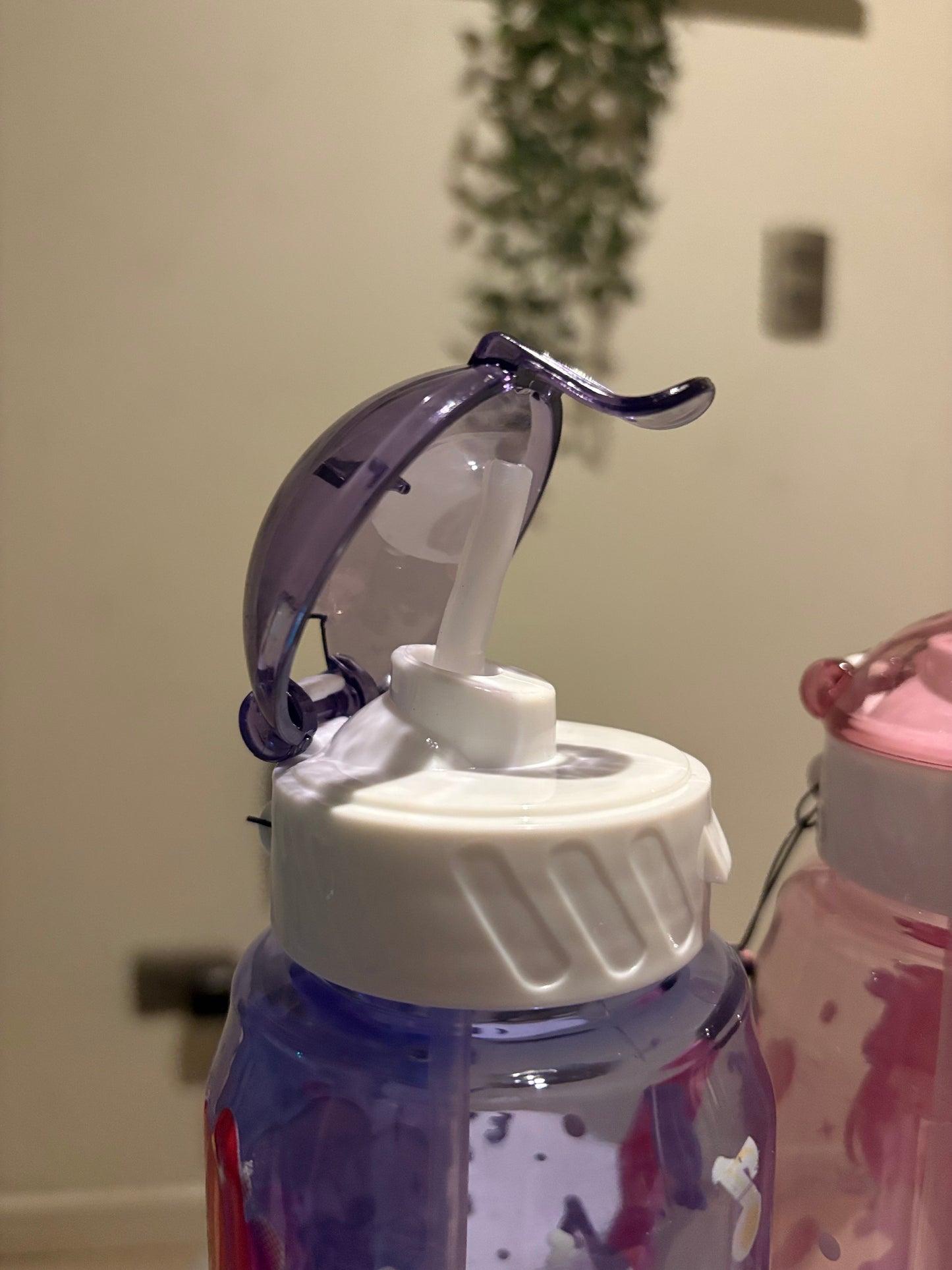 Botella las guerreras del K- Pop